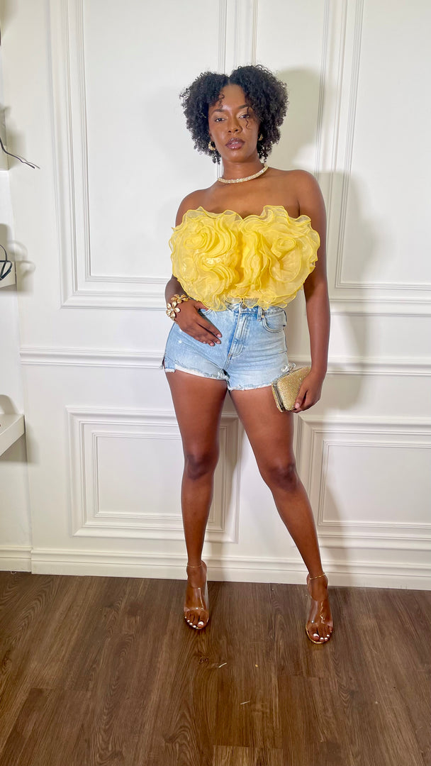 Linthia Off Shoulder Organza Ruffle Crop Top
