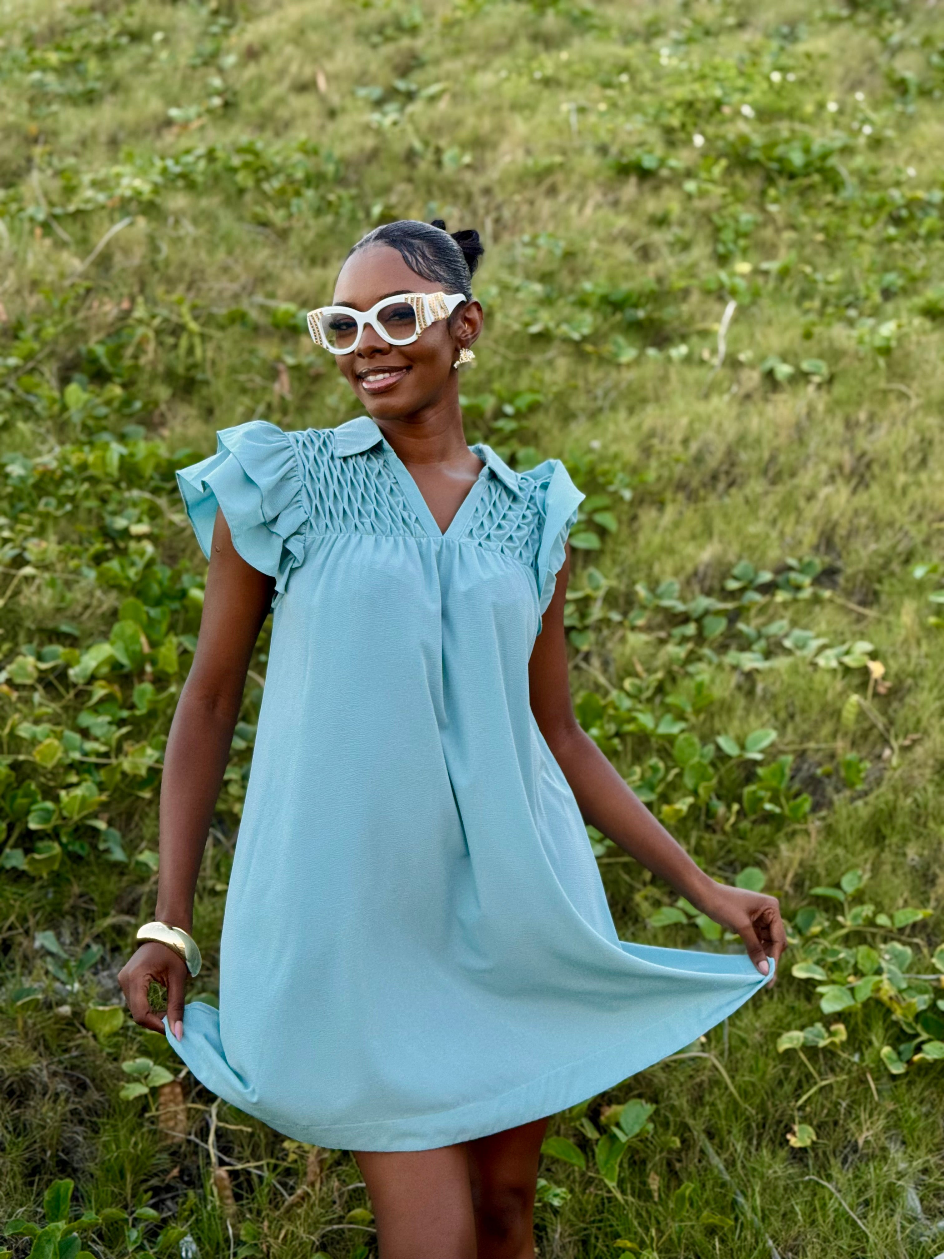 Mint Spice Sleeve Mini Dress – Chic Ladies Boutique